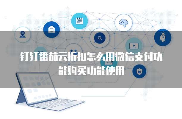 钉钉番茄云折扣怎么用微信支付功能购买功能使用
