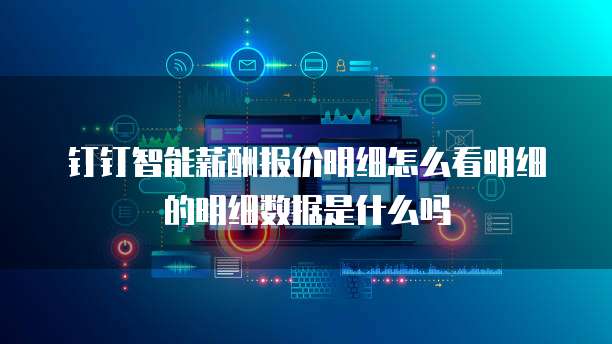 钉钉智能薪酬报价明细怎么看明细的明细数据是什么吗