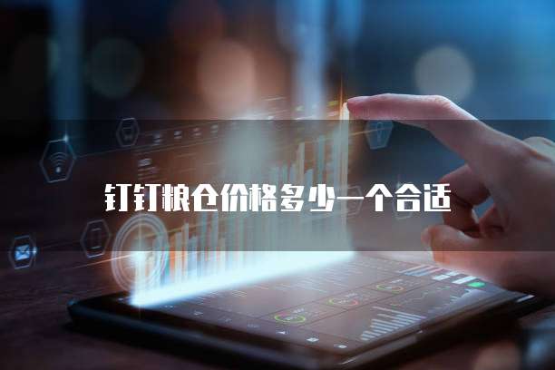 钉钉粮仓价格多少一个合适