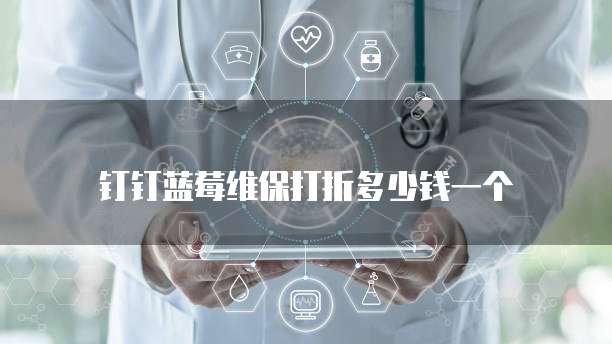 钉钉蓝莓维保打折多少钱一个