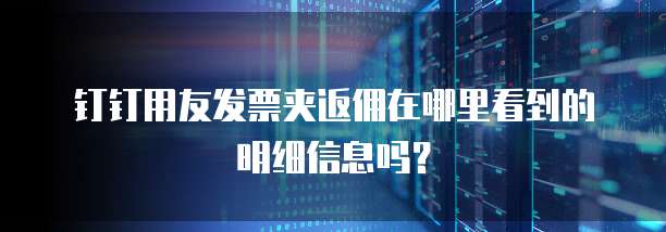 钉钉用友发票夹返佣在哪里看到的明细信息吗？