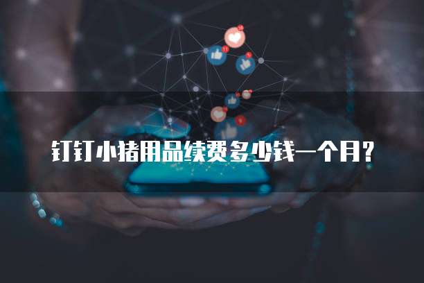 钉钉小猪用品续费多少钱一个月？