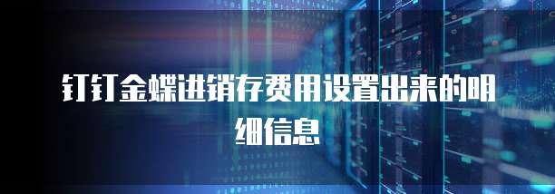 钉钉金蝶进销存费用设置出来的明细信息