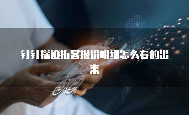 钉钉探迹拓客报价明细怎么看的出来