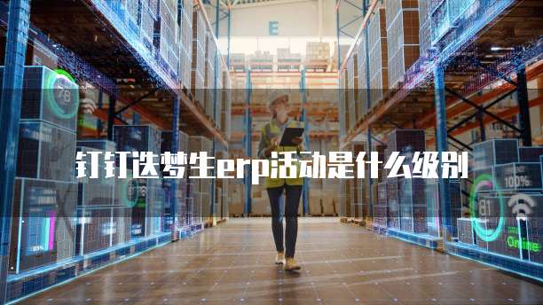 钉钉迭梦生erp活动是什么级别