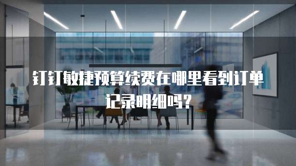 钉钉敏捷预算续费在哪里看到订单记录明细吗？