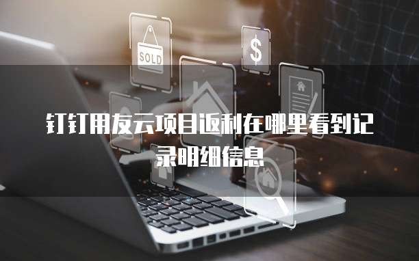 钉钉用友云项目返利在哪里看到记录明细信息