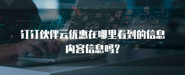 钉钉伙伴云优惠在哪里看到的信息内容信息吗?