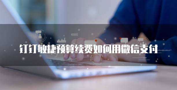 钉钉敏捷预算续费如何用微信支付
