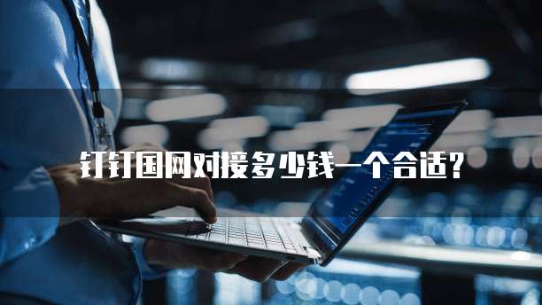 钉钉国网对接多少钱一个合适?