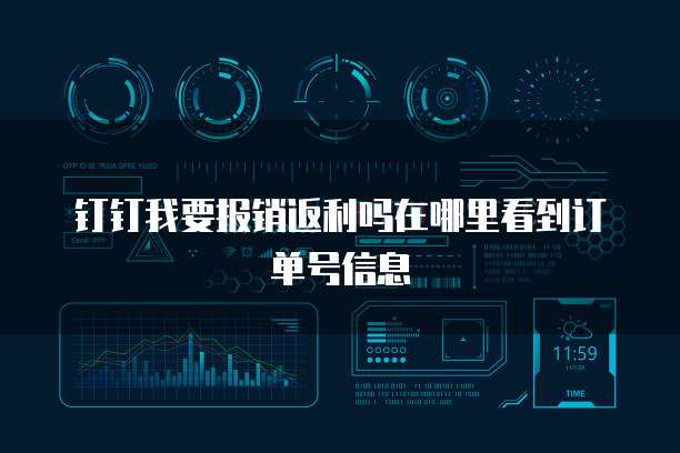 钉钉我要报销返利吗在哪里看到订单号信息