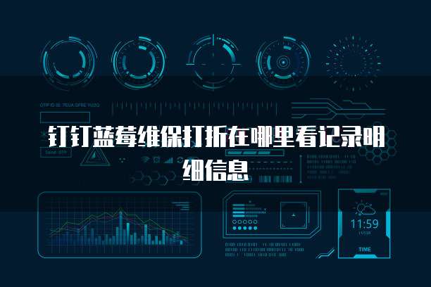 钉钉蓝莓维保打折在哪里看记录明细信息
