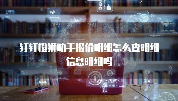 钉钉橙狮助手报价明细怎么查明细信息明细吗