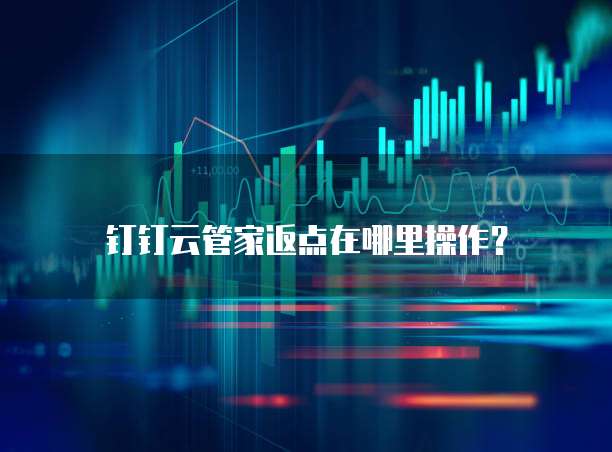 钉钉云管家返点在哪里操作?