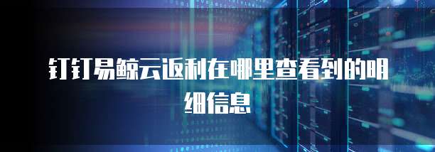 钉钉易鲸云返利在哪里查看到的明细信息