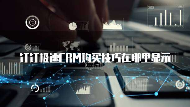 钉钉极速CRM购买技巧在哪里显示
