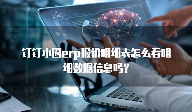 钉钉小圈ERP报价明细表怎么看明细数据信息吗?