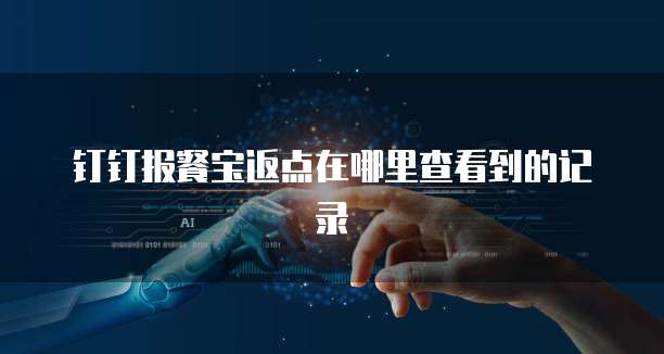 钉钉报餐宝返点在哪里查看到的记录