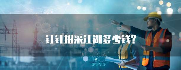 钉钉招采江湖多少钱？