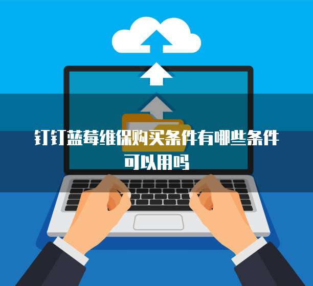 钉钉蓝莓维保购买条件有哪些条件可以用吗
