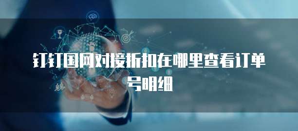 钉钉国网对接折扣在哪里查看订单号明细