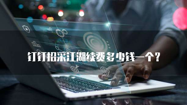 钉钉招采江湖续费多少钱一个？