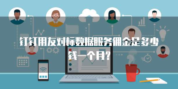 钉钉用友对标数据服务佣金是多少钱一个月？