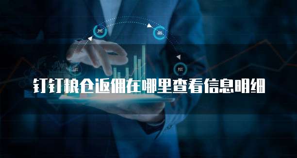 钉钉粮仓返佣在哪里查看信息明细