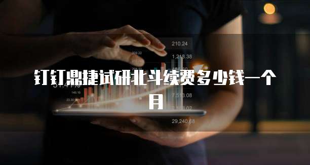 钉钉鼎捷试研北斗续费多少钱一个月
