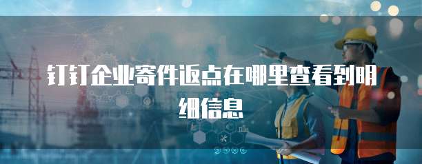 钉钉企业寄件返点在哪里查看到明细信息