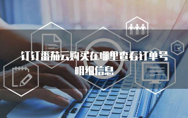 钉钉番茄云购买在哪里查看订单号明细信息