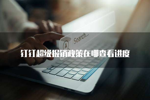 钉钉超级报销政策在哪查看进度