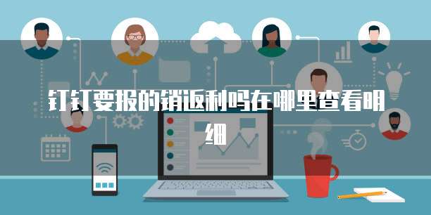 钉钉要报的销返利吗在哪里查看明细