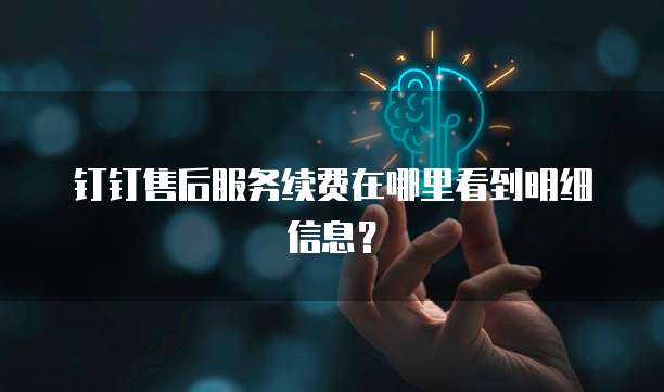 钉钉售后服务续费在哪里看到明细信息?