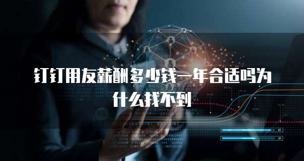 钉钉用友薪酬多少钱一年合适吗为什么找不到