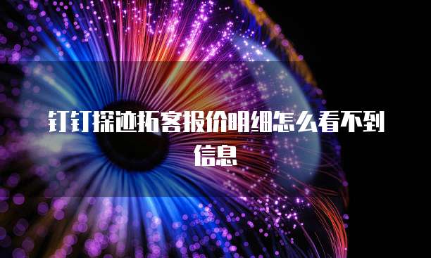 钉钉探迹拓客报价明细怎么看不到信息