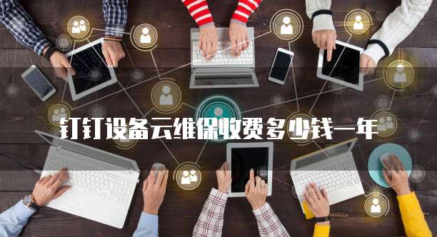 钉钉设备云维保收费多少钱一年