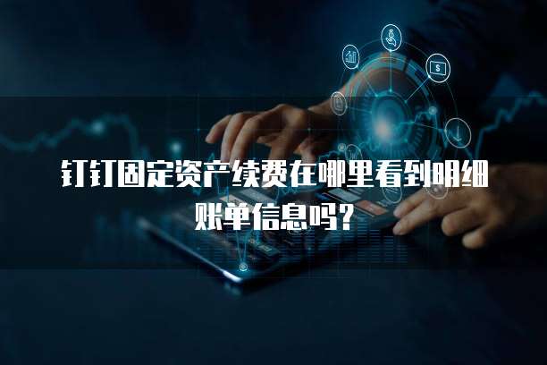 钉钉固定资产续费在哪里看到明细账单信息吗?