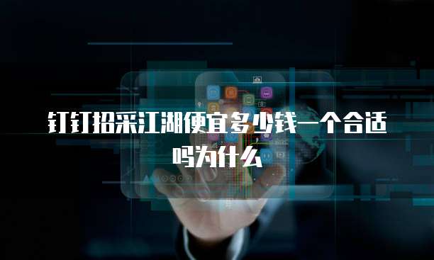 钉钉招采江湖便宜多少钱一个合适吗为什么