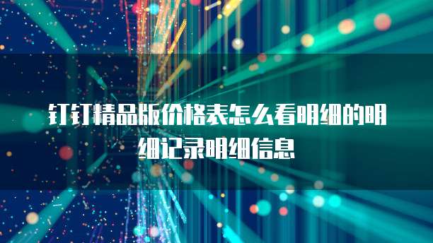 钉钉精品版价格表怎么看明细的明细记录明细信息