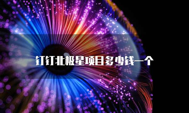 钉钉北极星项目多少钱一个