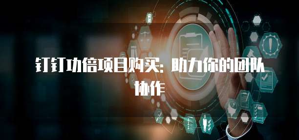 钉钉功倍项目购买: 助力你的团队协作