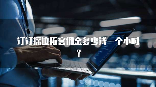钉钉探迹拓客佣金多少钱一个小时？