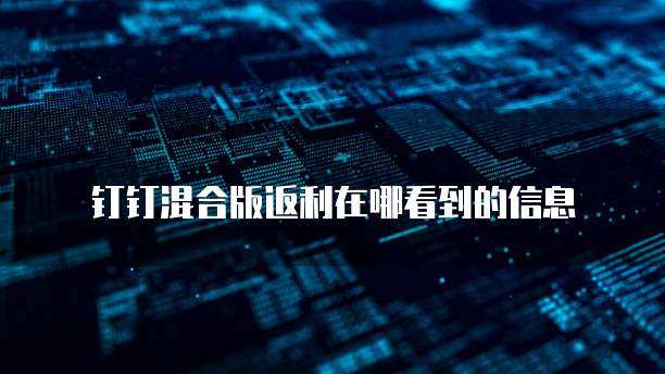 钉钉混合版返利在哪看到的信息