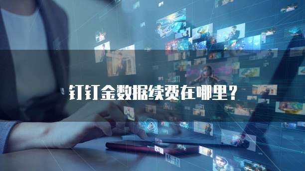 钉钉金数据续费在哪里？