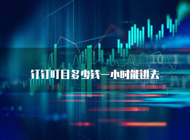 钉钉盯目多少钱一小时能进去