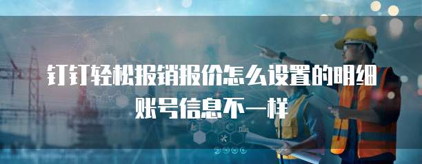 钉钉轻松报销报价怎么设置的明细账号信息不一样