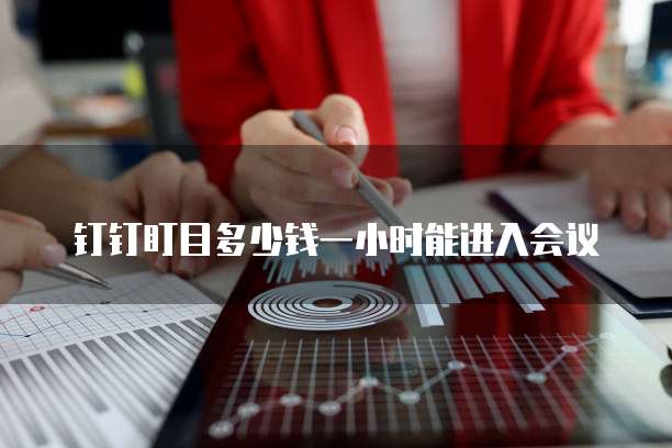 钉钉盯目多少钱一小时能进入会议