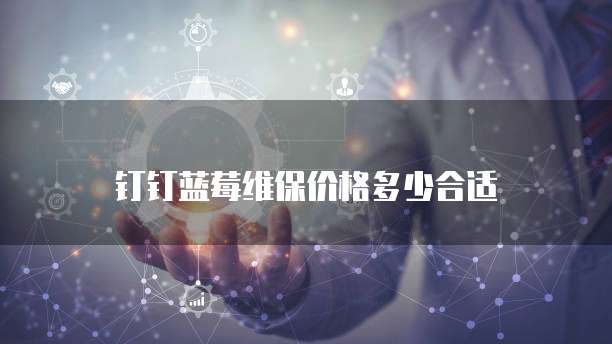 钉钉蓝莓维保价格多少合适