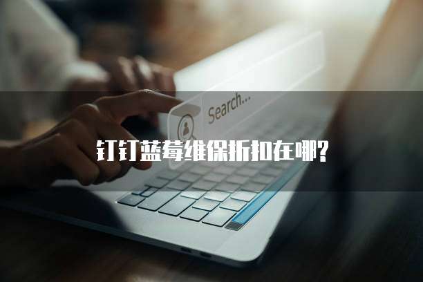 钉钉蓝莓维保折扣在哪?